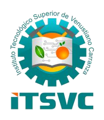 Logo ITSVC